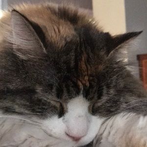 Meet your Posher, Kendra